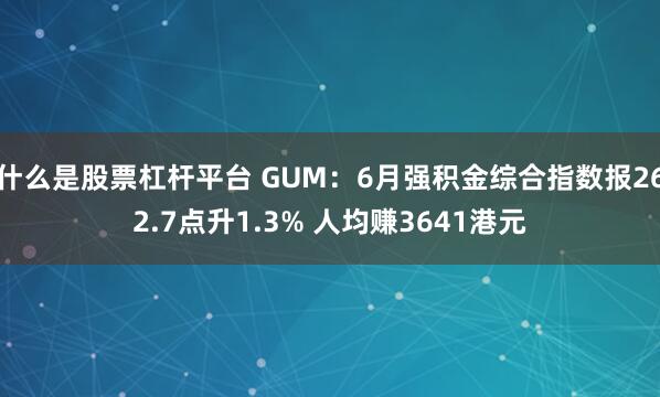 什么是股票杠杆平台 GUM：6月强积金综合指数报262.7点升1.3% 人均赚3641港元