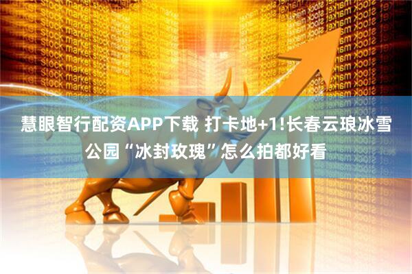 慧眼智行配资APP下载 打卡地+1!长春云琅冰雪公园“冰封玫瑰”怎么拍都好看